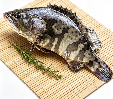 Fresh Whole Grouper